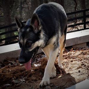 Meet your Posher, Aiden